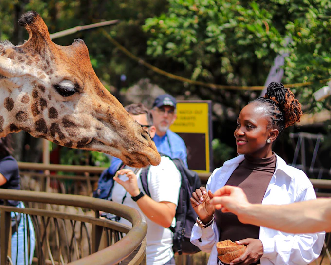 Nairobi: Giraffe Centre, Karen Blixen Museum & Kazuri Beads Factory Tour with Round-Trip Transfers (Product 56404)