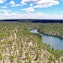 Forêt de Kaibab