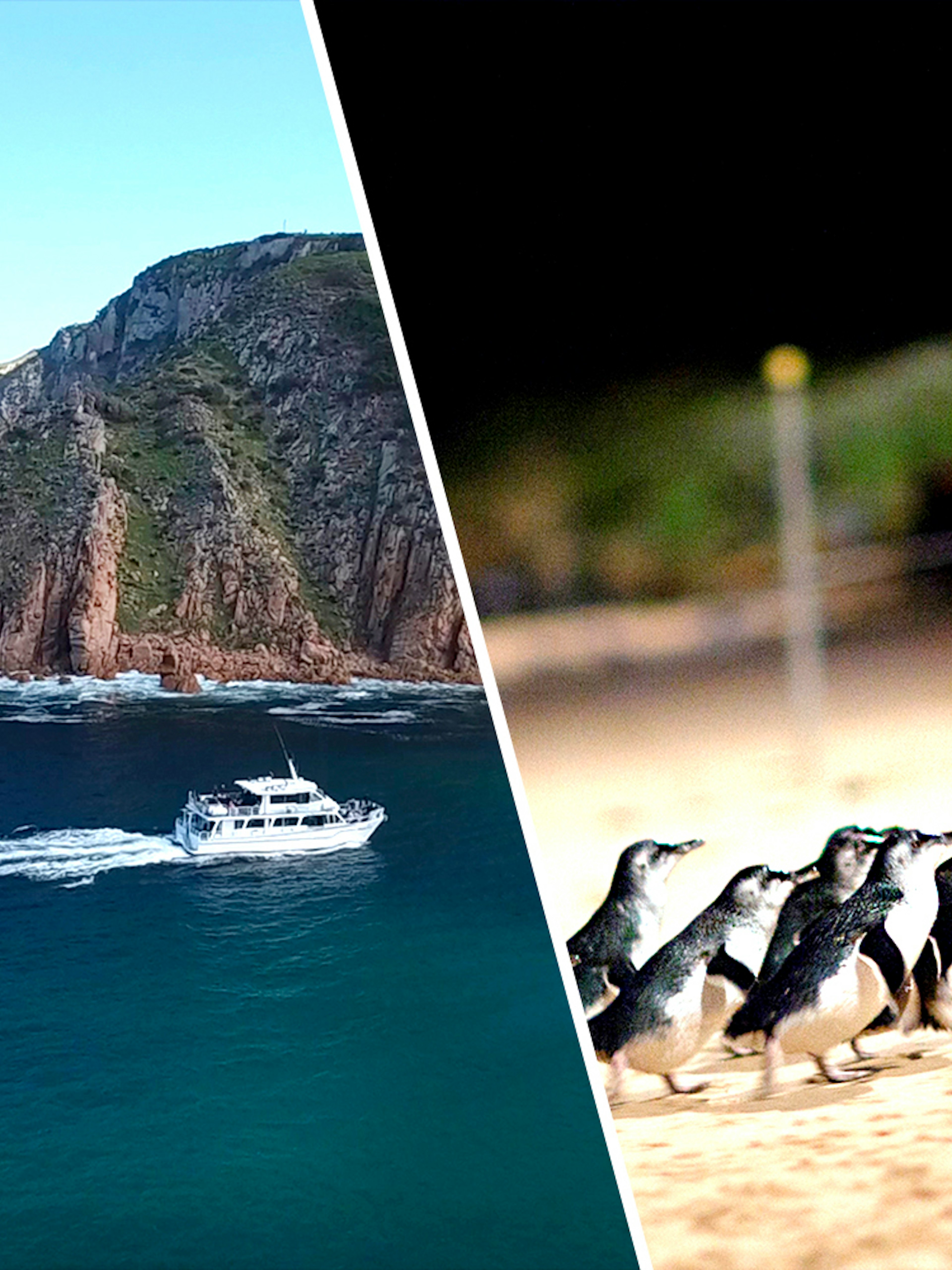 Boat near rugged coastline and penguins on sandy beach, Phillip Island, Australia.