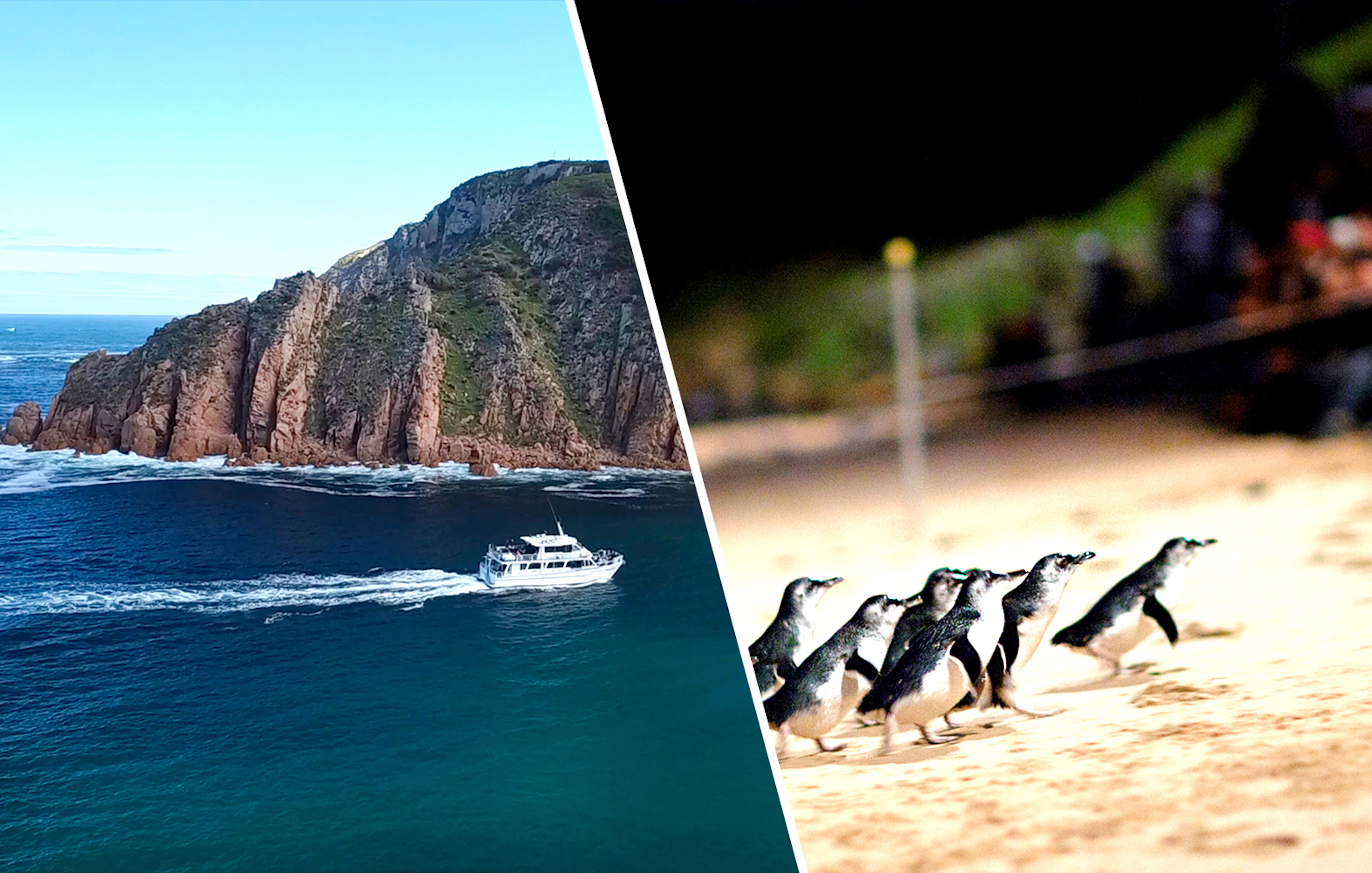 Boat near rugged coastline and penguins on sandy beach, Phillip Island, Australia.