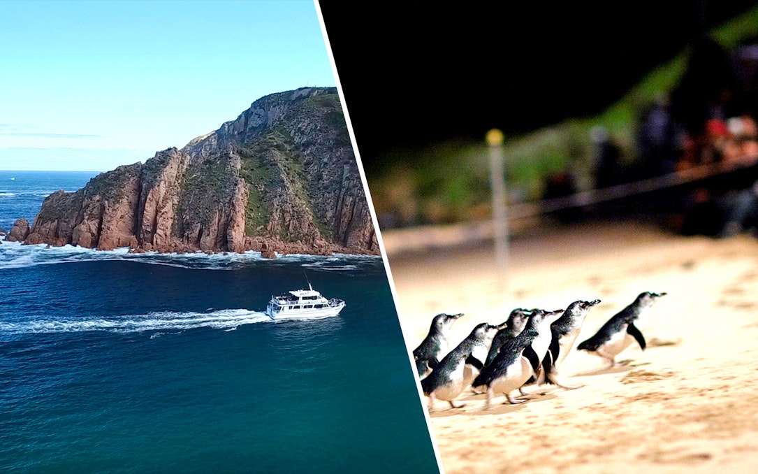 Boat near rugged coastline and penguins on sandy beach, Phillip Island, Australia.