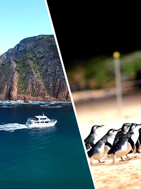 Boat near rugged coastline and penguins on sandy beach, Phillip Island, Australia.