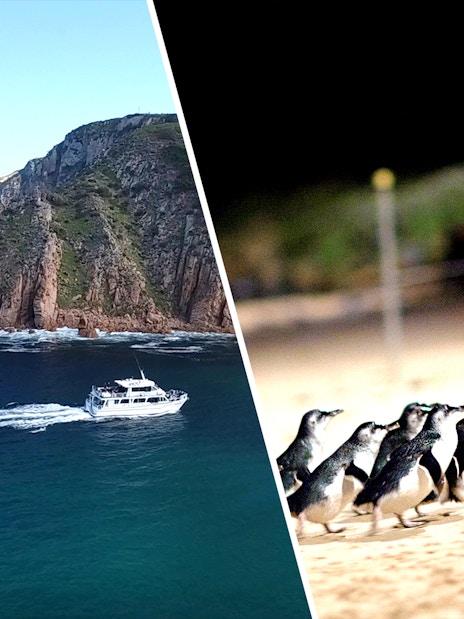Boat near rugged coastline and penguins on sandy beach, Phillip Island, Australia.