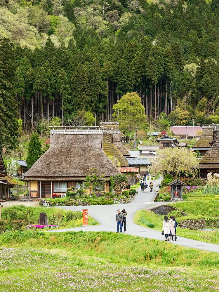 Traditional thatched-roof houses in Miyama Village, Kyoto, surrounded by lush greenery.