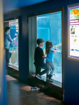 Children observing marine life at Marineland Mallorca aquarium.
