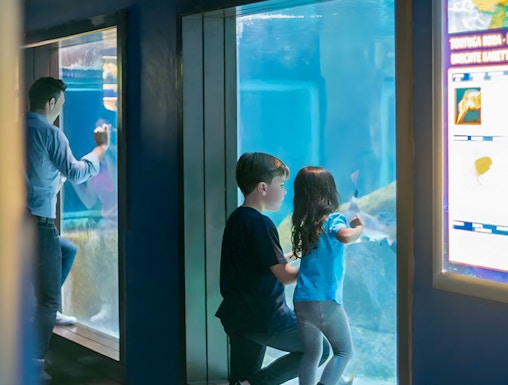 Children observing marine life at Marineland Mallorca aquarium.
