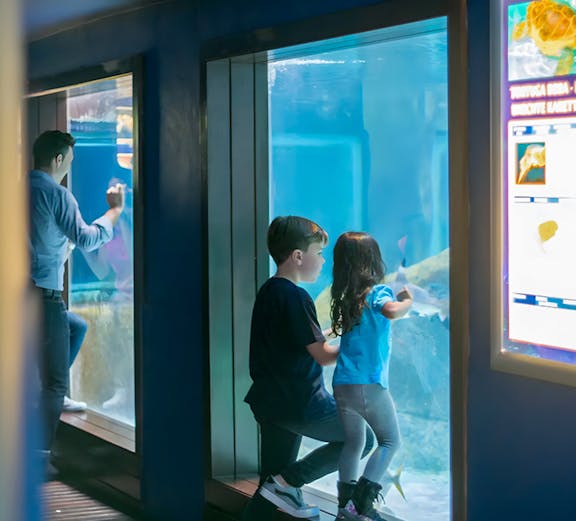 Children observing marine life at Marineland Mallorca aquarium.
