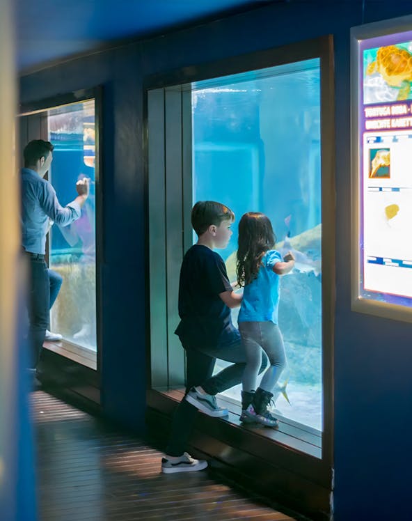 Children observing marine life at Marineland Mallorca aquarium.