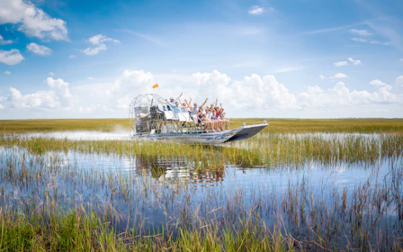 Miami: Airboat Tour with Wildlife Show & Transportation from Miami