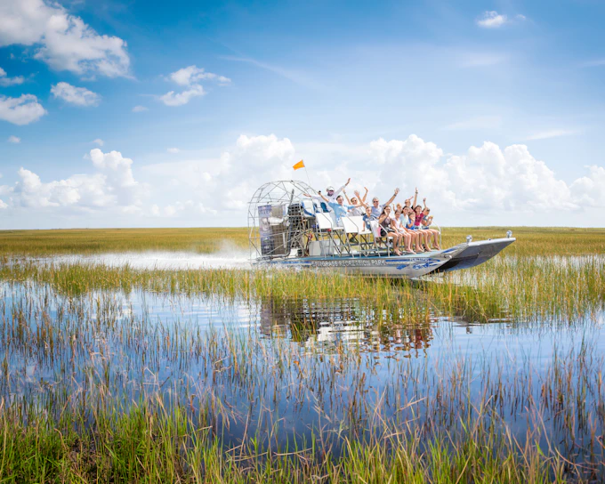 Miami: Airboat Tour with Wildlife Show & Transportation from Miami