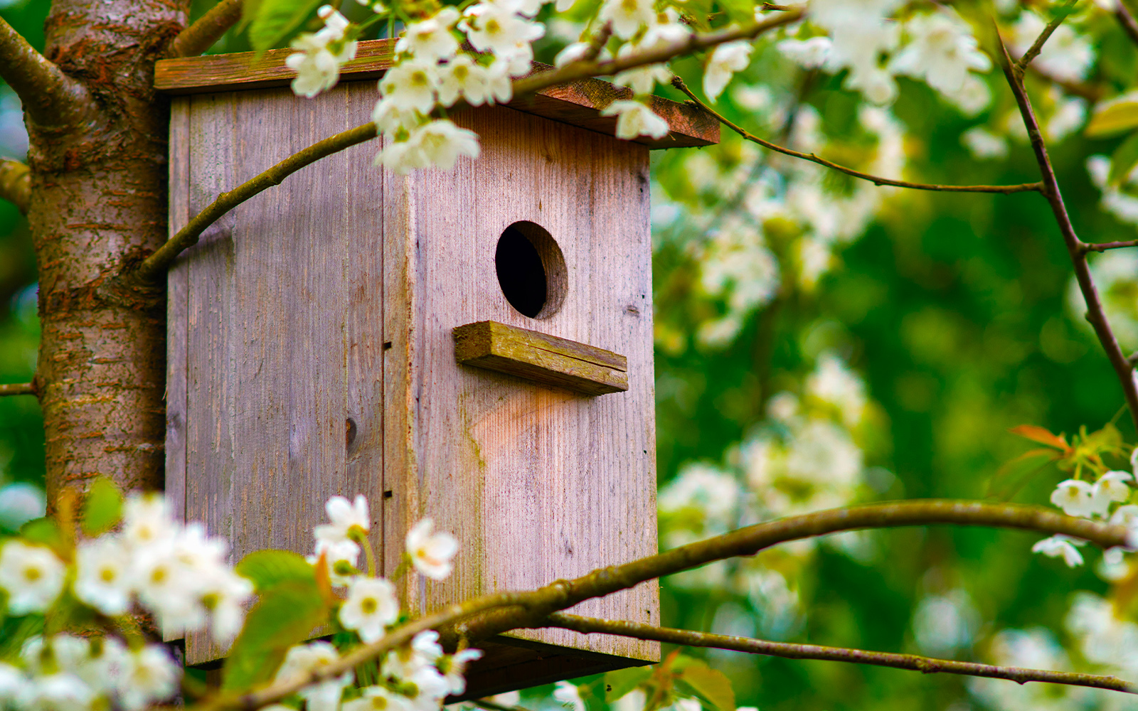 Zoo de Barcelona Tickets