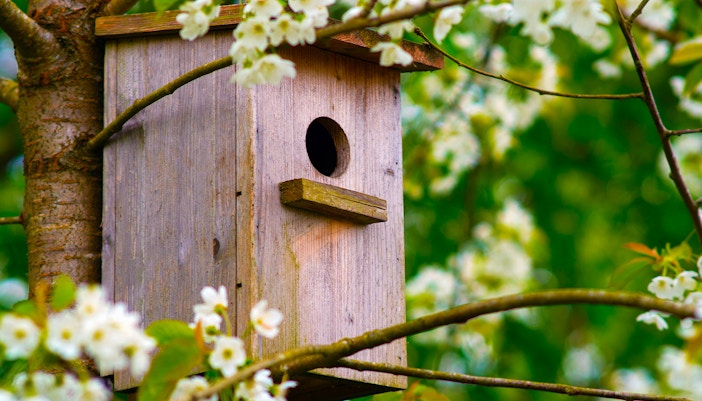 Zoo de Barcelona Tickets