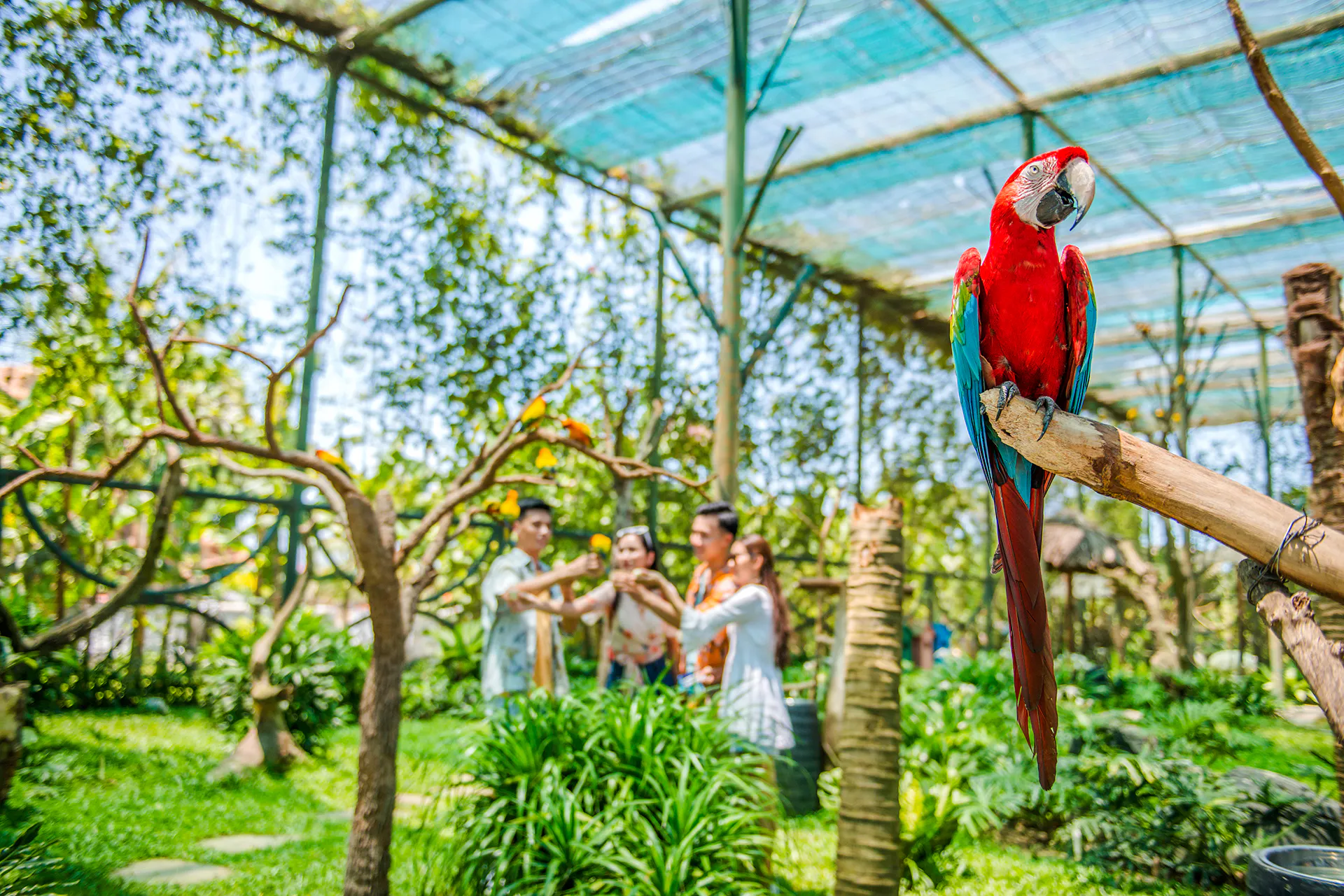 VinWonders Nam Hoi An Theme Park Tickets with Private Round-Trip Transfers