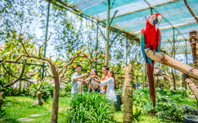 VinWonders Nam Hoi An Theme Park Tickets with Private Round-Trip Transfers
