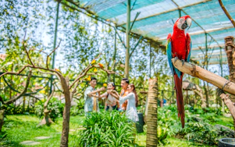 tickets für den themenpark vinwonders nam hoi an inklusive privatem hin- und rücktransfer-1