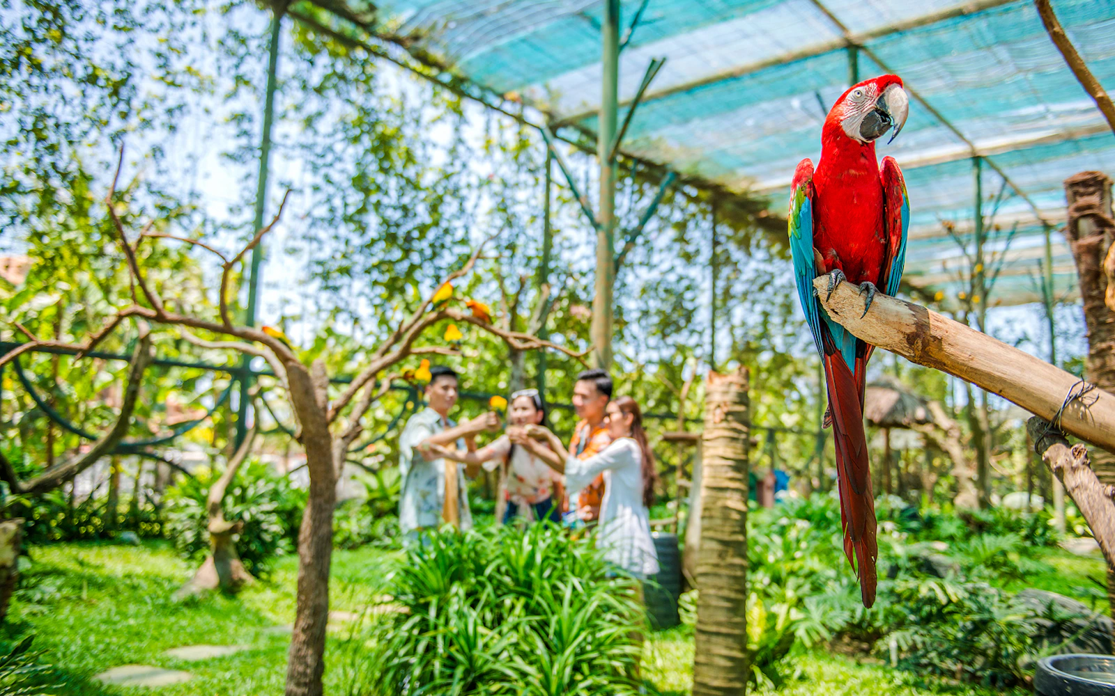 VinWonders Nam Hoi An Theme Park Tickets with Private Round-Trip Transfers