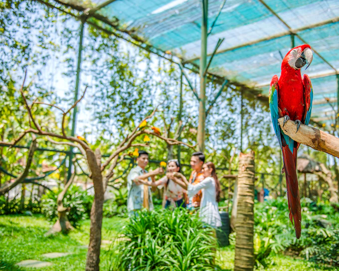 VinWonders Nam Hoi An Theme Park Tickets with Private Round-Trip Transfers