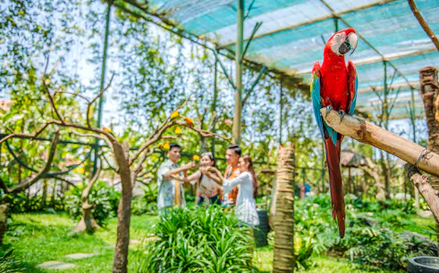 entradas para el parque temático vinwonders nam hoi an con traslados privados de ida y vuelta-1