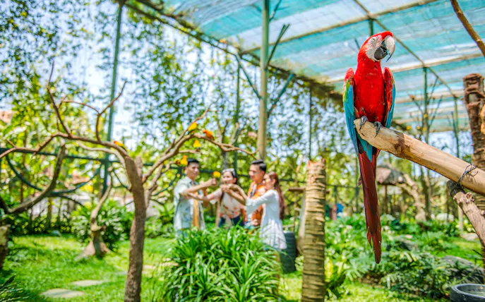 tickets für den themenpark vinwonders nam hoi an inklusive privatem hin- und rücktransfer-1