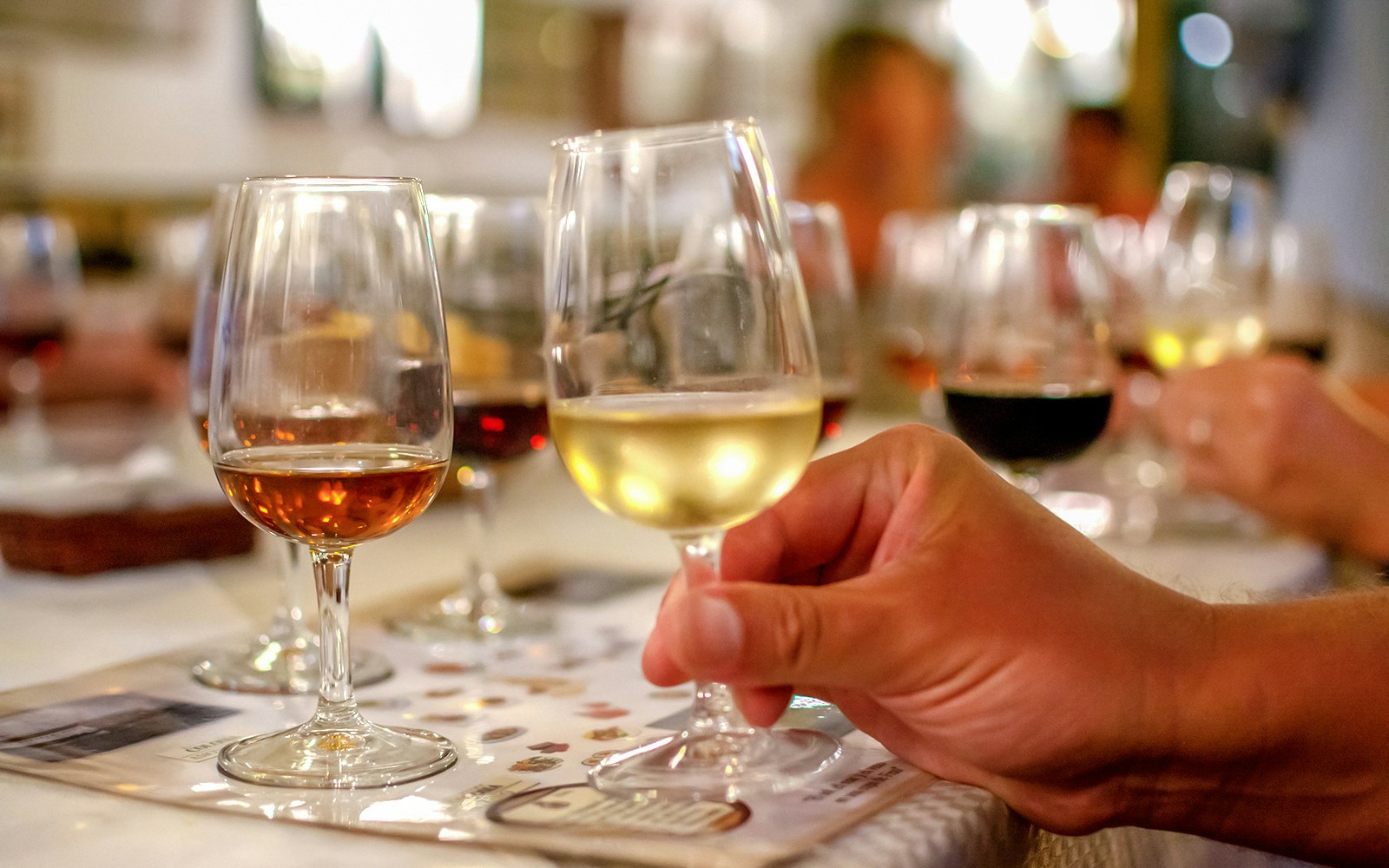 Wine glasses on a table during a tasting session in Plastovo.