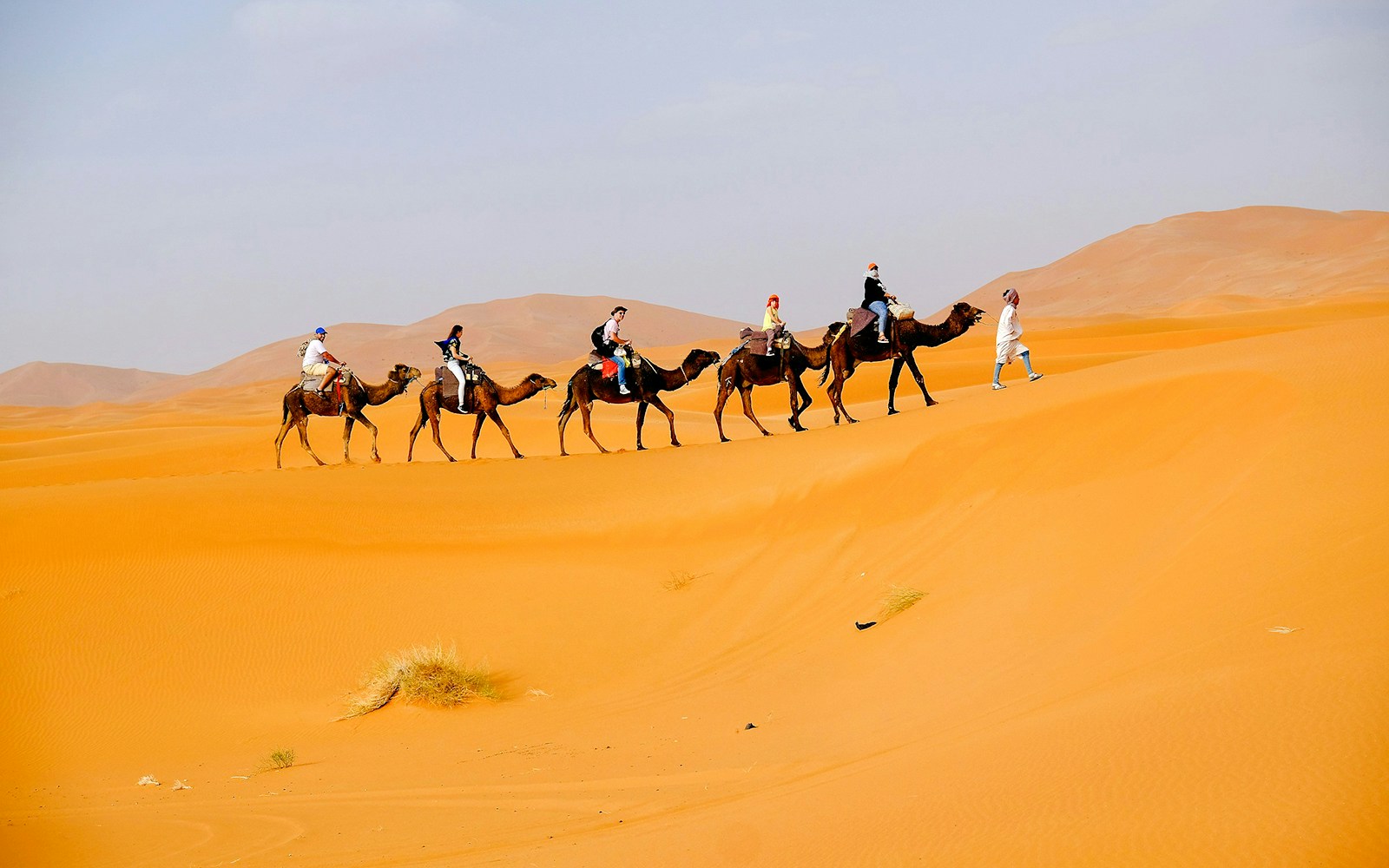 People riding camels across sand dunes in Agafay Desert.