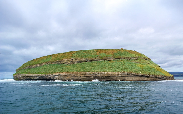 Puffin Island near Husavik with grassy cliffs and surrounding ocean.