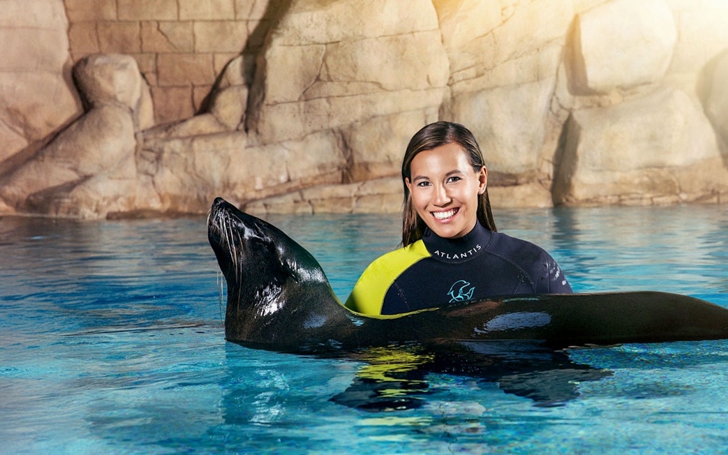 Sea lion encounter at Aquaventure Waterpark, person in wetsuit smiling in pool.