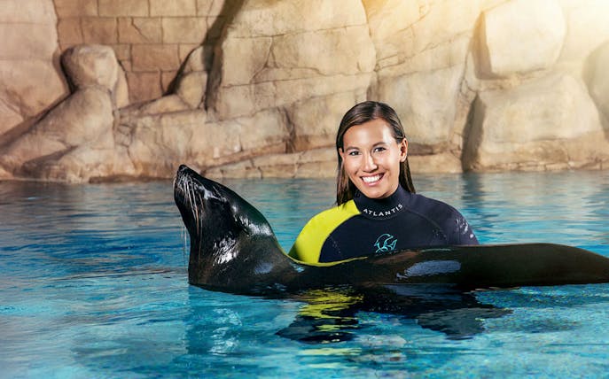Sea lion encounter at Aquaventure Waterpark, person in wetsuit smiling in pool.