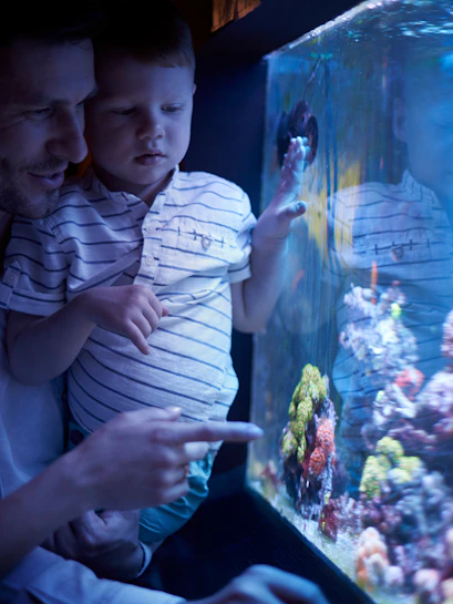 Father and child observing colorful coral in aquarium exhibit.