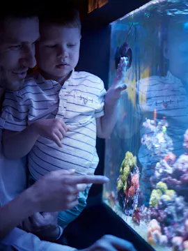 Billets pour l'aquarium de Seattle