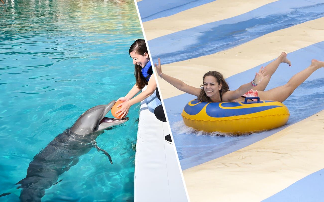 Dolphin interaction and water slide fun at Marineland and Aquasplash.