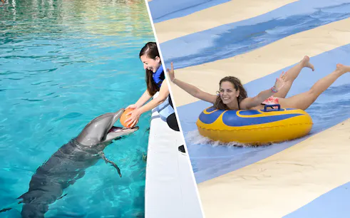 Dolphin interaction and water slide fun at Marineland and Aquasplash.