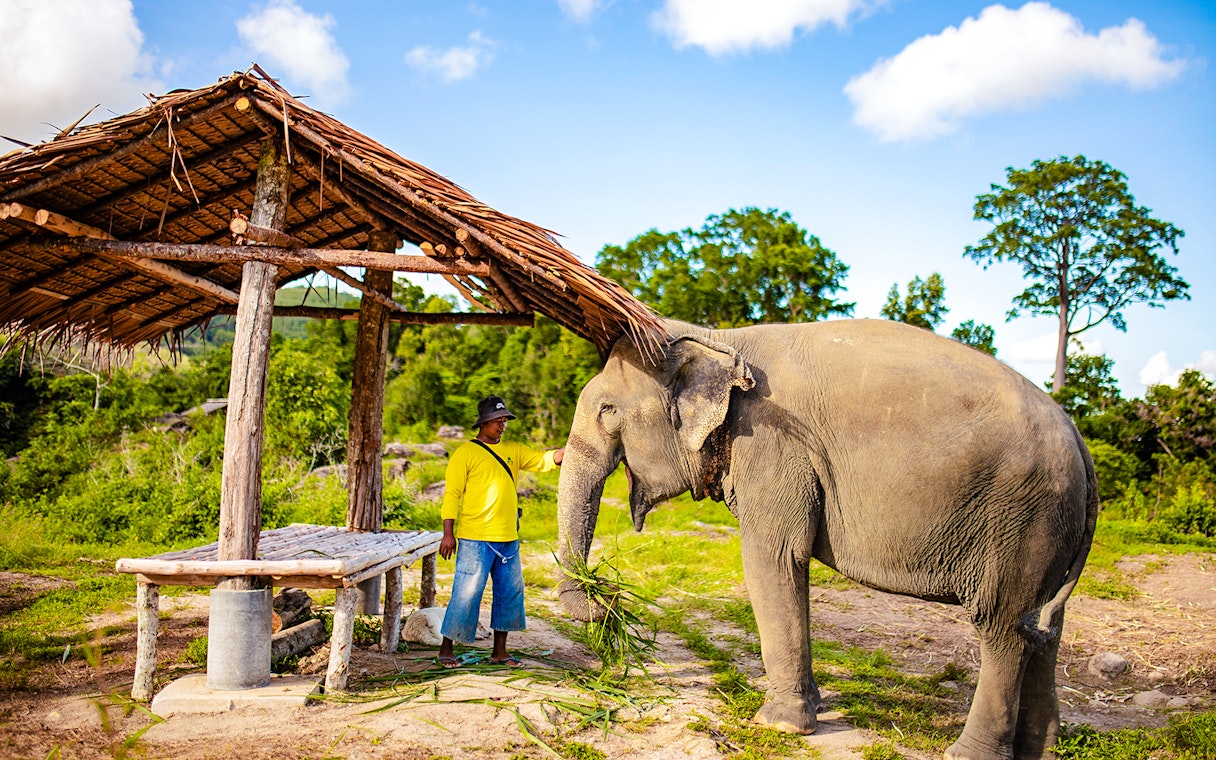 Elephant with mahout at Bukit Elephant Park, standing near a rustic shelter.