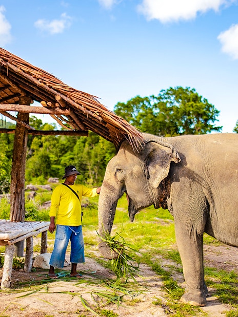 Elephant with mahout at Bukit Elephant Park, standing near a rustic shelter.
