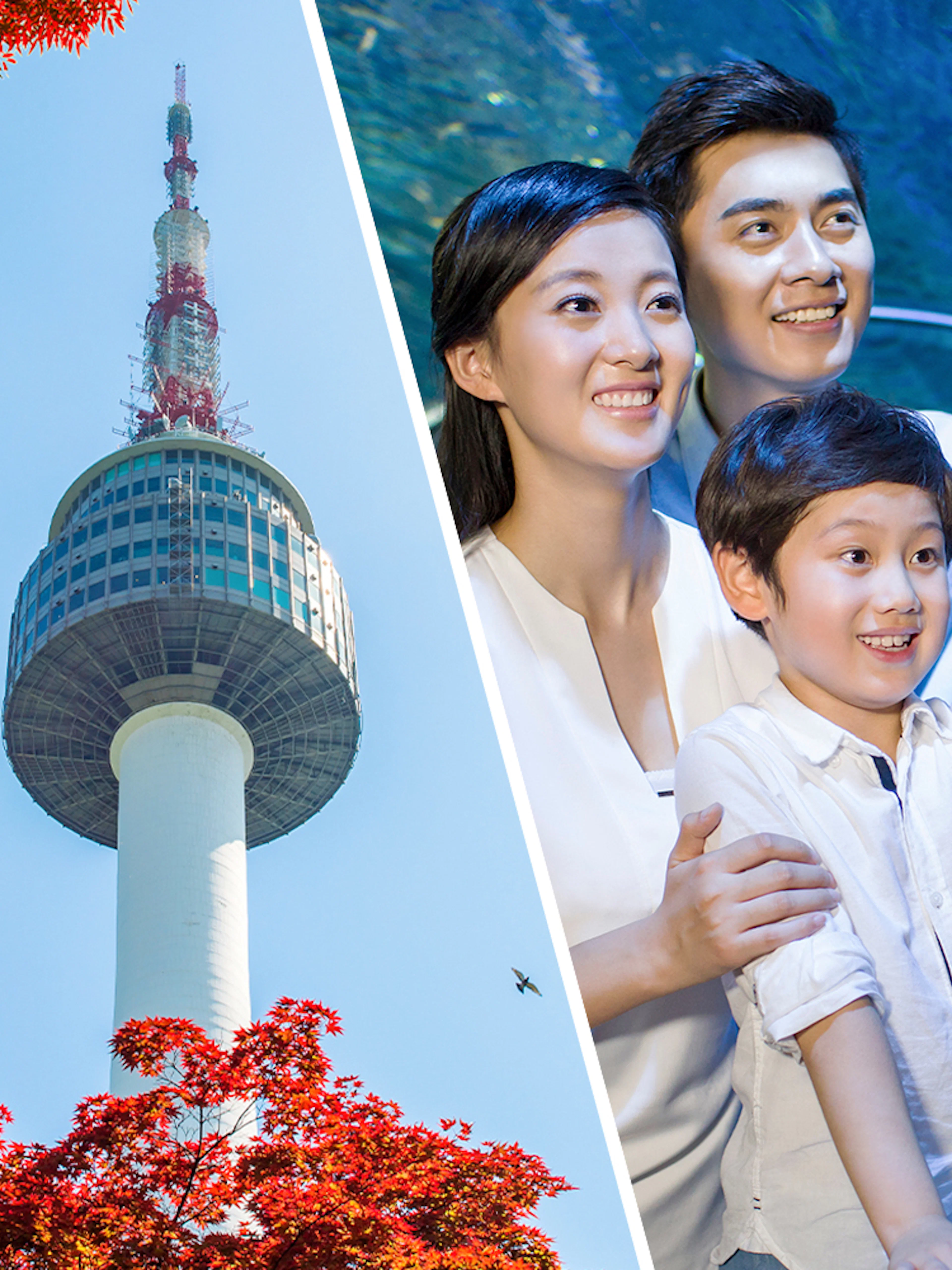 N Seoul Tower with red foliage; family enjoying Coex Aquarium tunnel.