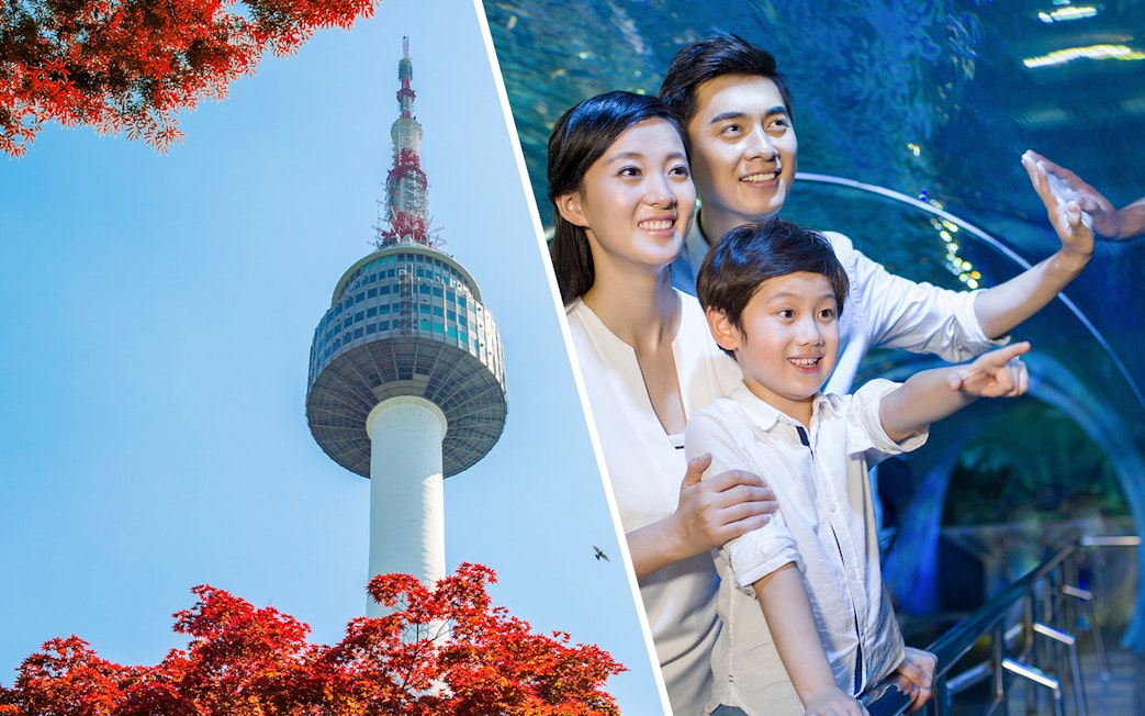 N Seoul Tower with red foliage; family enjoying Coex Aquarium tunnel.
