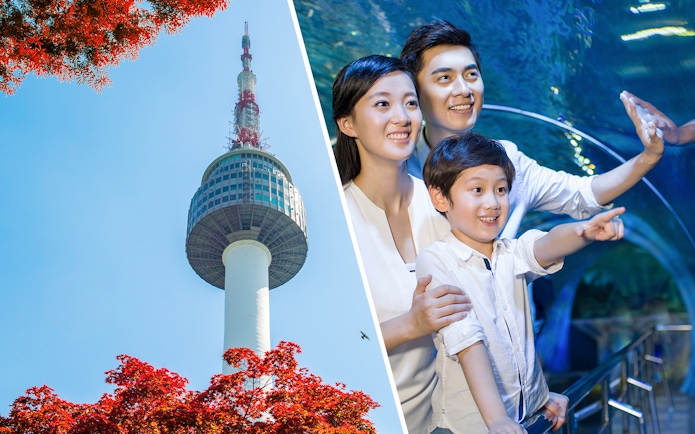 N Seoul Tower with red foliage; family enjoying Coex Aquarium tunnel.
