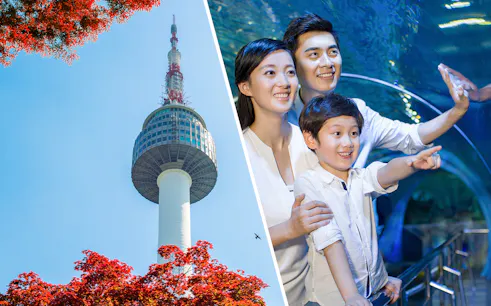N Seoul Tower with red foliage; family enjoying Coex Aquarium tunnel.