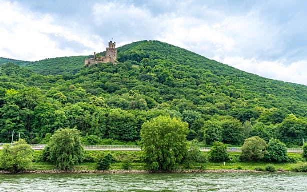 Castle on a hill in the Middle Rhine Valley, Germany, surrounded by lush greenery.