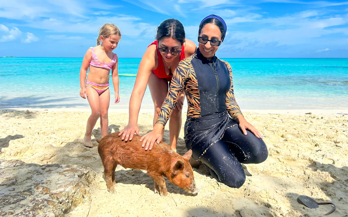 People petting a pig on Rose Island beach during a swimming with pigs day trip.