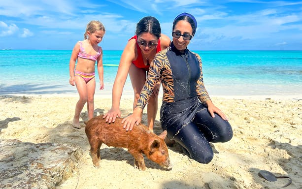 People petting a pig on Rose Island beach during a swimming with pigs day trip.