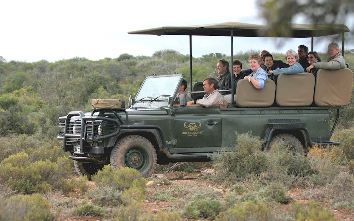 private tour zur buffelsdrift game lodge ab kapstadt mit übernachtung im zelt, pirschfahrten und begegnungen mit wildtieren-1