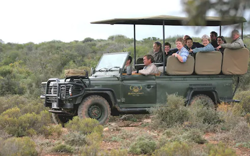 visite privée au buffelsdrift game lodge à partir du cap, avec hébergement sous tente, safaris en 4x4 et rencontres avec la faune sauvage-1
