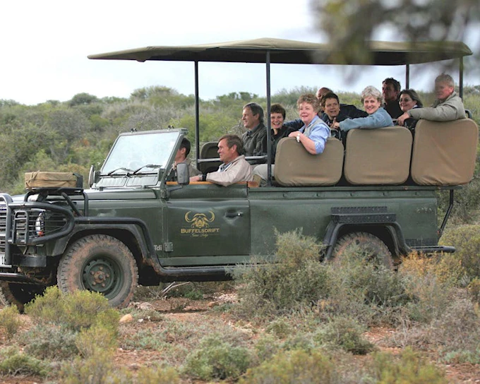 Buffelsdrift Game Lodge Private Safari Tour from Cape Town with Tented Stay, Game Drives, and Wildlife Encounters