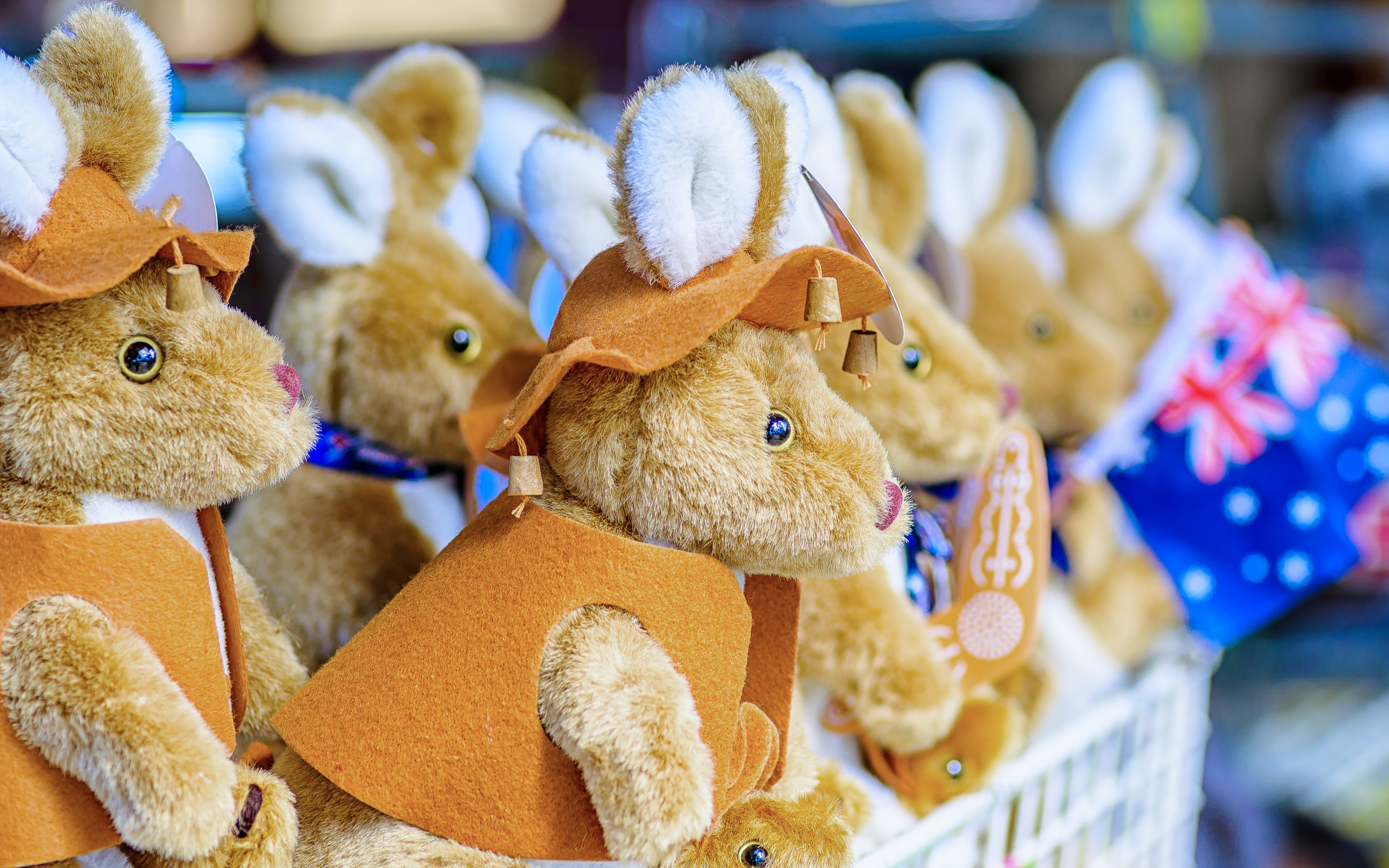 Stuffed kangaroo toys in a Darwin souvenir shop, Australia.