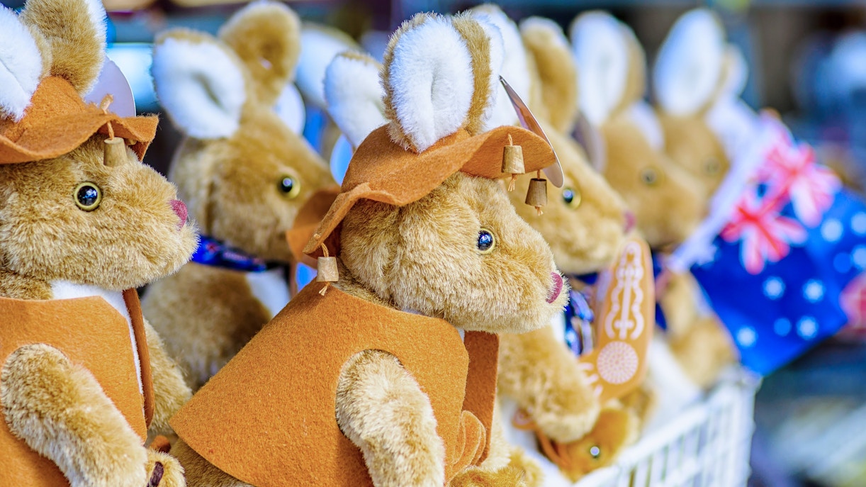 Stuffed kangaroo toys in a Darwin souvenir shop, Australia.