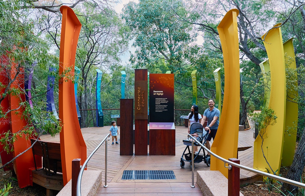 Ngilgi Cave Ancient Lands experience