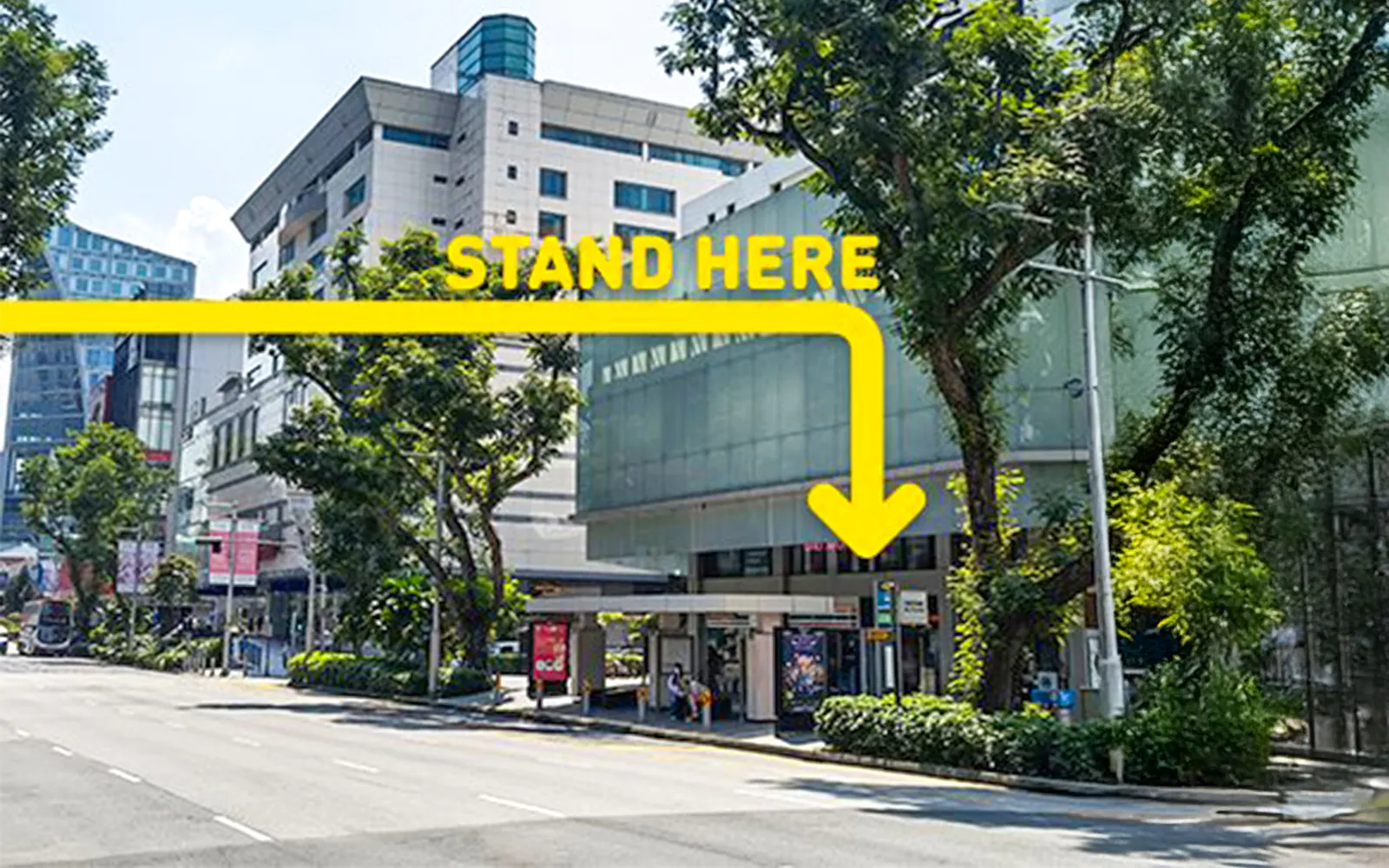 Orchard Plaza