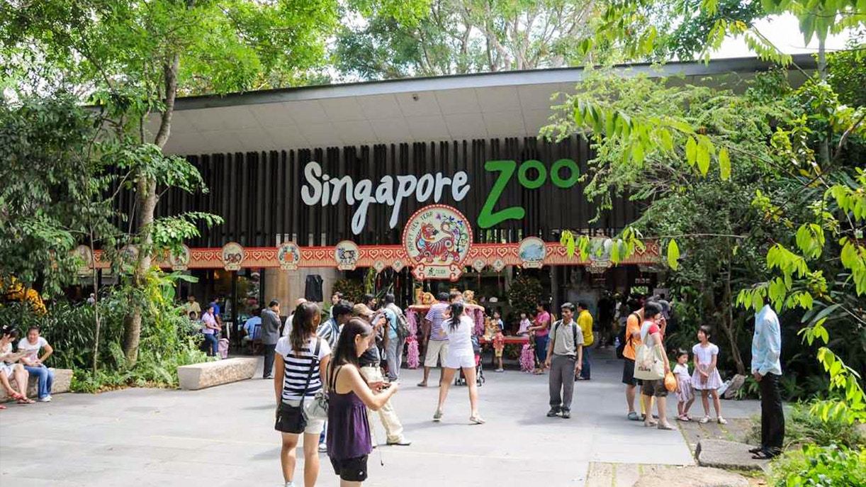 Singapore Zoo - Plan your visit