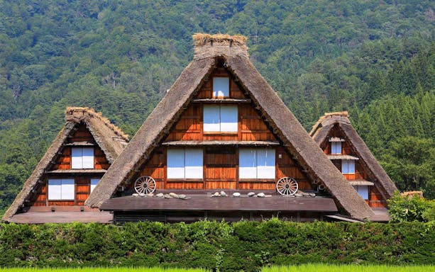 Traditional gassho-style houses in Shirakawago village, surrounded by lush greenery.